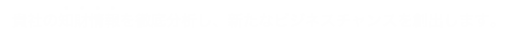 貴社の知財情報を徹底分析し、新たなビジネスチャンスを創出します。