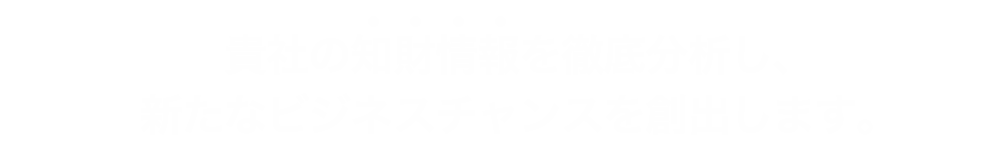 貴社の知財情報を徹底分析し、新たなビジネスチャンスを創出します。